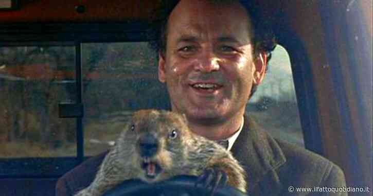 È morto Fred, la marmotta del Giorno della Marmotta:” Ho aperto la sua tana e ho cercato di svegliarlo per la previsione ma non dava segni di vita”
