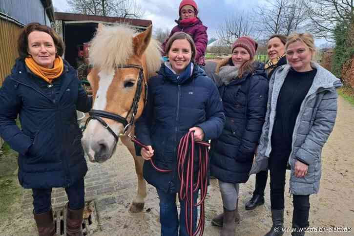 In der Ruhe der Pferde liegt die Kraft