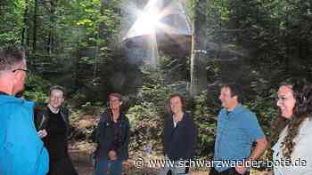 Kurverwaltung in Dobel: Bald ein Baumhaus und ein eigenes "Geheimnis"