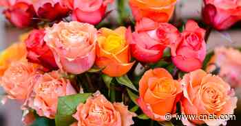 Get 24 Long-Stem Roses With a Vase Delivered to Your Valentine for Just $50     - CNET