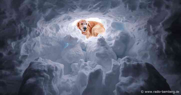 Große Lawinengefahr in Österreich: Aufruf zu großer Vorsicht