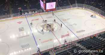 Hamilton consortium says Bulldogs will be ‘welcome back’ following multi-year arena redevelopment