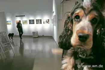 Hundebesuch im Pferdemuseum
