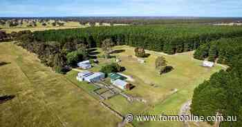 Border grazing farm heads to auction later this month