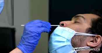 N.B. health authorities halt COVID-19 screening for most patients