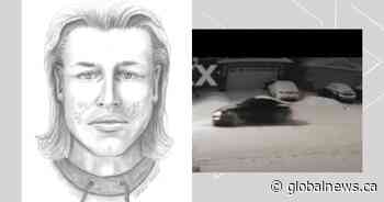 Gun brandished during repeat vehicle thefts; Edmonton police ask for help identifying suspects