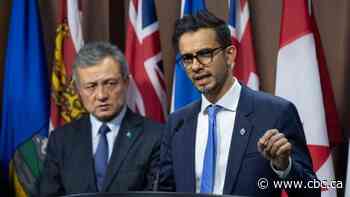 Canada's vow to take in 10,000 Uyghurs is not set in stone. But this MP is confident it will happen