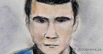 Political interference alleged in assessment hearings in Matthew de Grood case