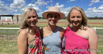 Walcha Cup photos: big crowd parties under blazing sun