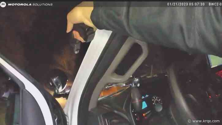 VIDEO: Driver backs in San Juan County Deputy cruiser, shot fired