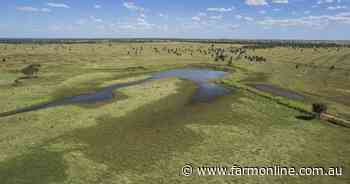 Exceptionally well developed Leinster hits the market