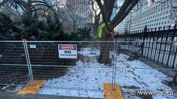 Law society seeks injunction to stop Metrolinx from cutting down trees at historic Osgoode Hall