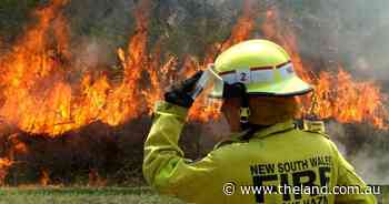 Labor pledges 600 extra firefighters for NSW