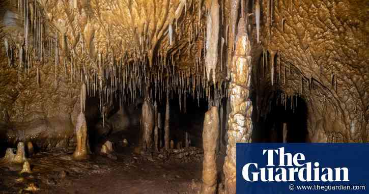 Bear-clawed cavern discovered in Spain ‘opens new door on prehistory’