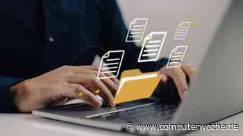 Profi-Tricks: So finden Sie am PC blitzschnell jede Datei