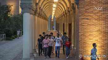 «Dann könnten wir Powerpoint nicht mehr nutzen»: Huawei und Chinas Chip-Industrie bangen wegen US-Exportverboten um ihre Zukunft