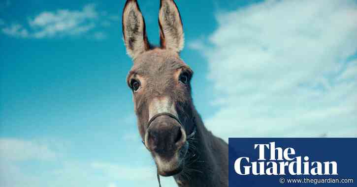 From EO to Raye: a complete guide to this week’s entertainment