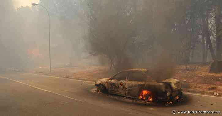 Mindestens 13 Tote bei Waldbränden in Chile