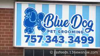 Virginia Beach pet groomers could face animal cruelty charge