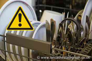Which? reveals the items you should never put in the dishwasher