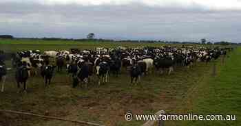 Risk of salinity in the Macalister following three wet years