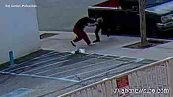 WATCH:  Woman caught on camera stealing puppy, attacking owner