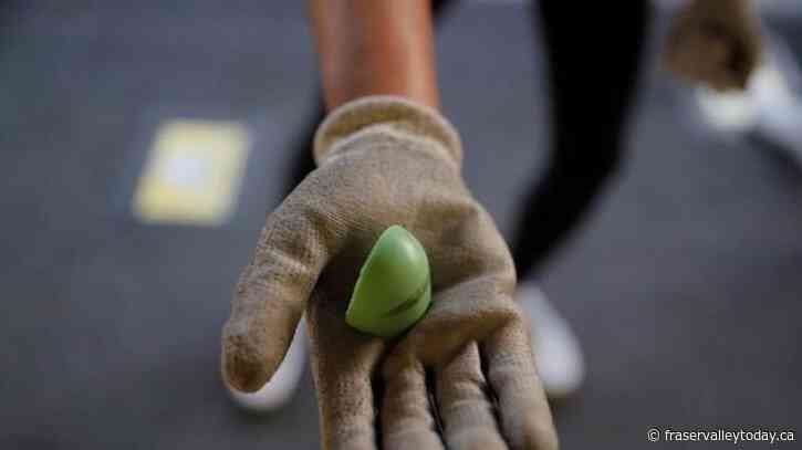 Federal government asking RCMP to ban use of sponge rounds, CS gas for crowd control