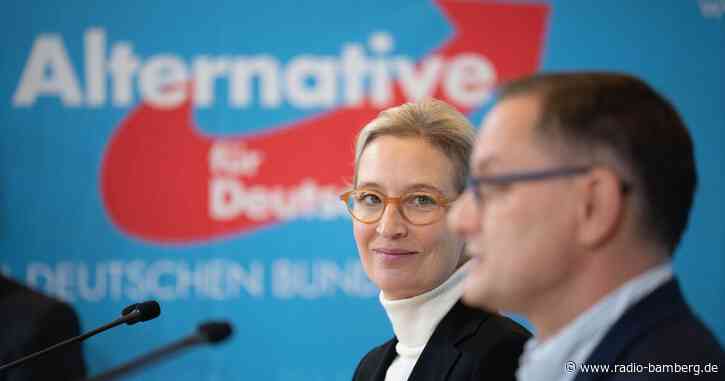 Zehn Jahre AfD – «Gekommen, um zu bleiben»