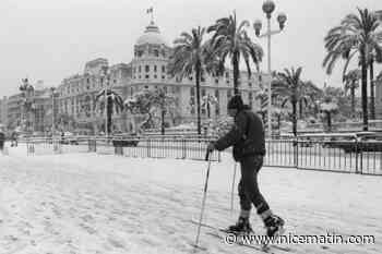 A l’hiver 1956, une vague de froid dévastatrice s'abat sur la Côte d’Azur