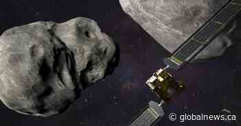 Can we stop an asteroid from hitting Earth?