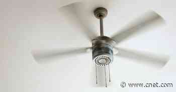 This Ceiling Fan Trick Can Save You Big Money on Heating Costs This Winter     - CNET