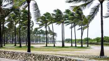 Windy Weather, Scattered Showers Bring Cooler Temps to South Florida Saturday