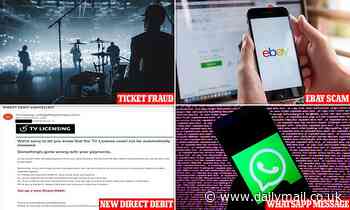 The five tell-tale signs in spotting scam texts... how to tell the fake from the real messages