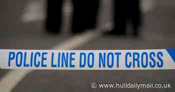 Woman pushing pram fighting for life after being knocked down in hit-and-run