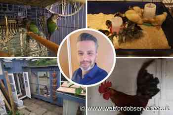 Bushey bird sanctuary needs more volunteers and donations