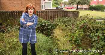 Grieving Gateshead gran's dreams of memory garden for late granddaughter disappear in muddy mess