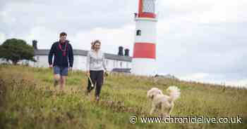 North East National Trust site Souter Lighthouse makes The Times's top 20 dog walks list