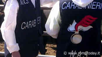 Carenze igieniche e alimenti scaduti: chiusa una pasticceria, multato un ristoratore