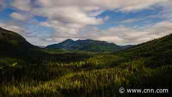 Biden administration restores protections for Alaska's Tongass forest