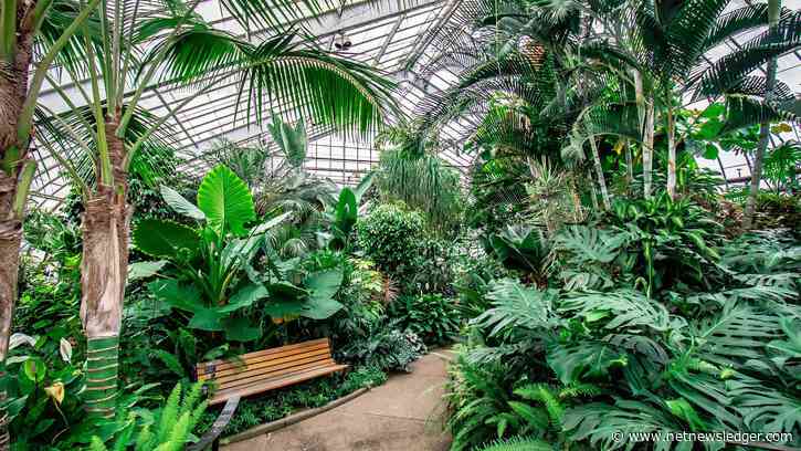 Thunder Bay: Centennial Conservatory Will Re-Open