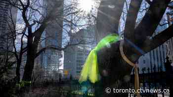 Metrolinx begins to clear trees at Osgoode Hall ahead of Ontario Superior Court hearing on their removal: LSO