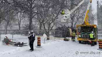 Metrolinx pauses Osgoode Hall tree removal as Ontario law society waits for court to consider injunction