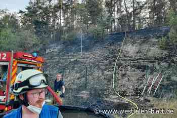 Feuerwehr Warburg rückt 2022 zu fast 300 Einsätzen aus