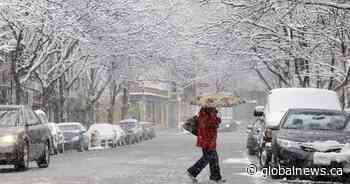 Nearly 15K customers without power as strong winds sweep through N.B.