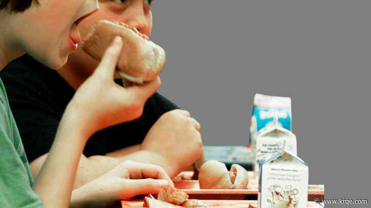 Changes to expect in your child's school lunches under new USDA nutrition standards
