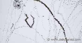 Suburban Skyview: What does it take to build a snowman?