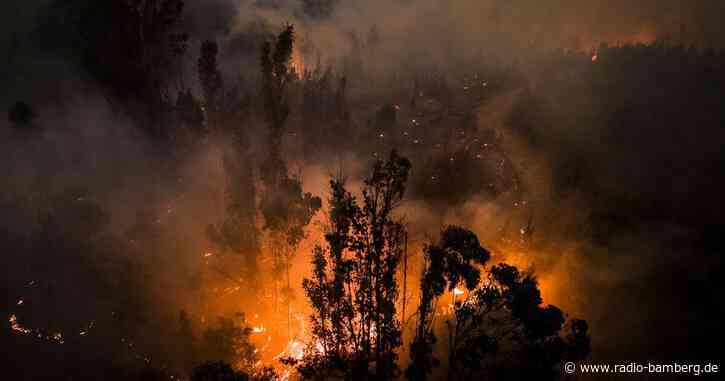 Mindestens 22 Tote bei Waldbränden in Chile