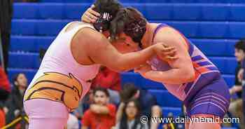 Wrestling: Marmion upper weights finish strong to take regional title