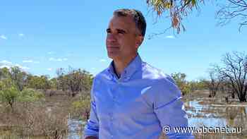 Tax breaks announced for homes, businesses affected by River Murray floodwaters