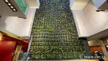 This 5-storey tall wall of tropical plants isn't just for aesthetics